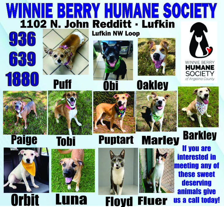 Pet of The Week Ad